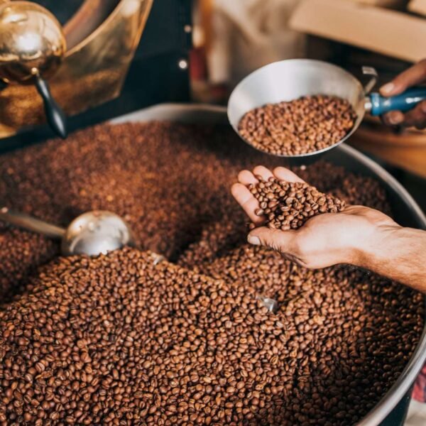 ​Bamboo Beans Torrefacto Blend - Arabica & Robusta