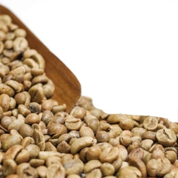 6d75ceb0-e9b4-4d21-a8c2-88b6b641d6f0 Green Bean - Robusta Ranau