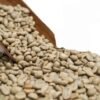 WhatsApp Image 2026-04-11 at 7.46.23 PM (1) Green Bean Arabica Wild Luwak - Gayo Bener Meriah