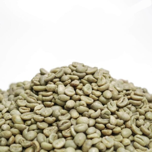 WhatsApp Image 2026-04-11 at 7.46.23 PM Green Bean Arabica Wild Luwak - Gayo Bener Meriah